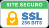 Site seguro, SSL 256 bits